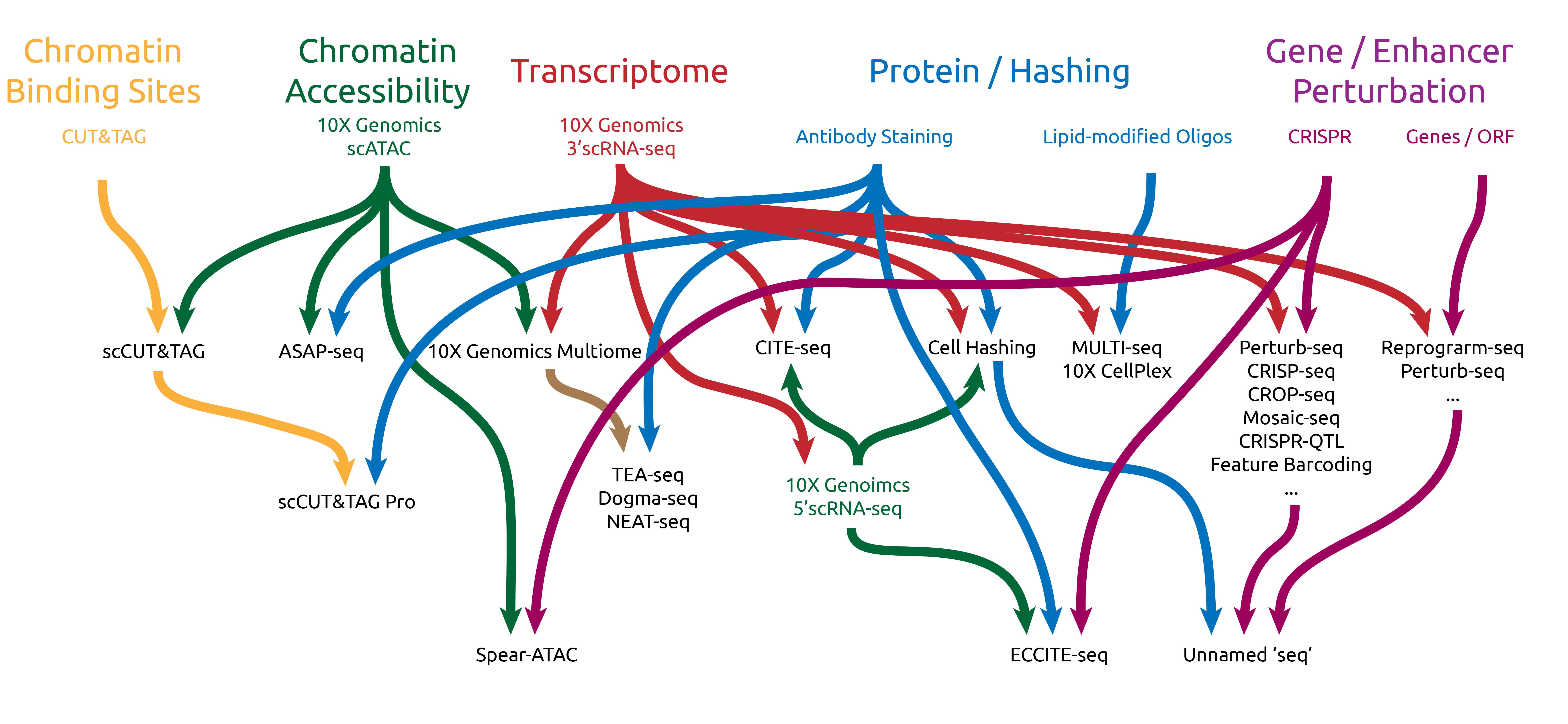 Technology Overview